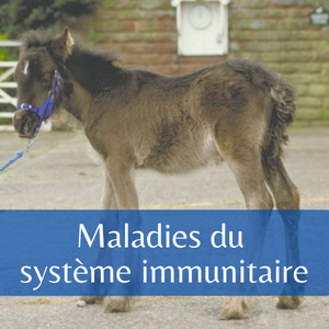 Maladies du système immunitaire